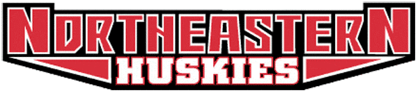 Northeastern Huskies 2001-2006 Wordmark Logo diy iron on heat transfer